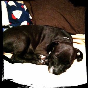 Meet your Posher, Shawn